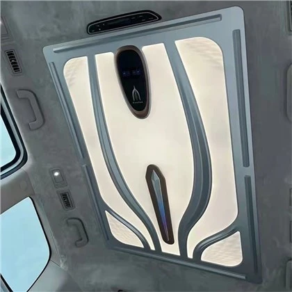 Car Interior Luxury Roof Lights