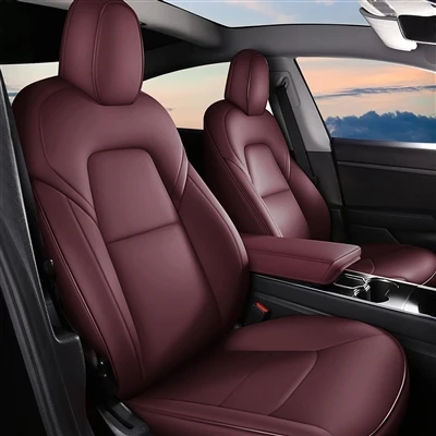 Young Person's First Car May Be A Tesla