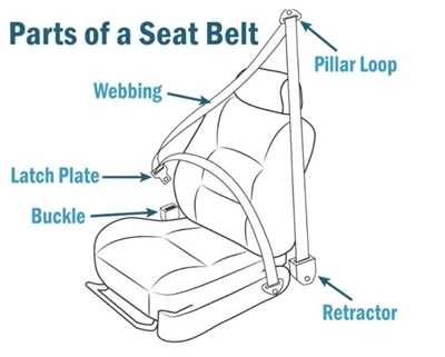 The Main Structural Components Of Car Seat Belts